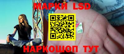 гашик Нальчик