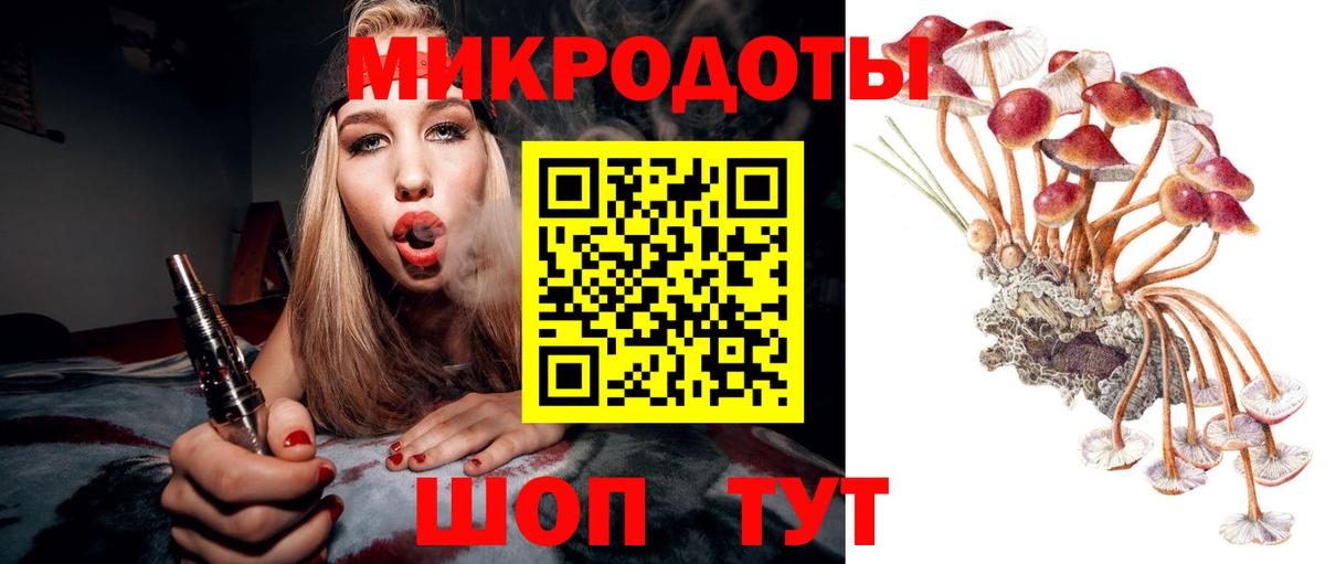 купить   Псилоцибиновые грибы мицелий  Вход с VPN  Рубцовск 